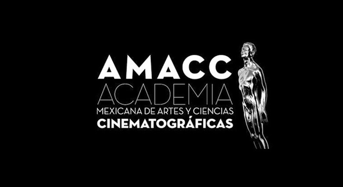 91 nuevos integrantes se unen a los miembros activos de la AMACC - Noticias  22 Digital